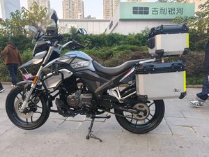 二手赛科龙RX250