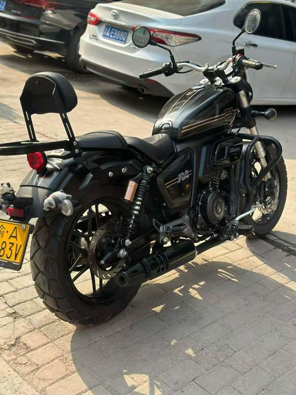 二手赛科龙RA401