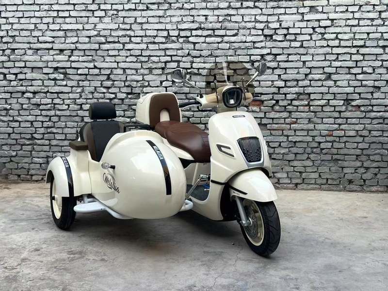 二手南方梦拉丽莎 飞戈边三轮