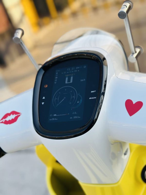 二手南方梦拉丽莎 飞戈