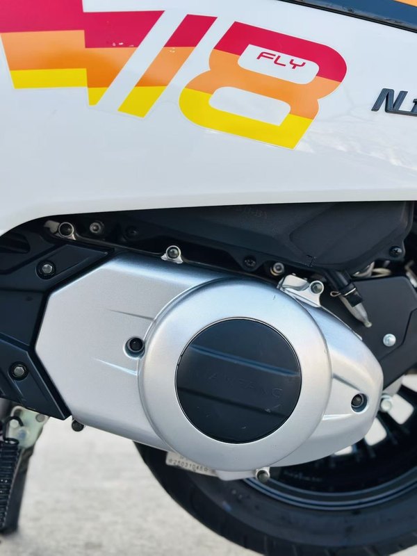 二手南方梦拉丽莎 飞戈