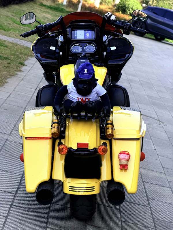 二手哈雷戴维森公路滑翔 Road Glide