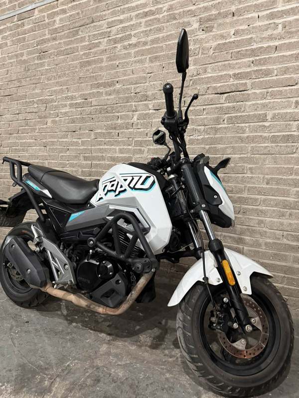 二手春风ST狒狒