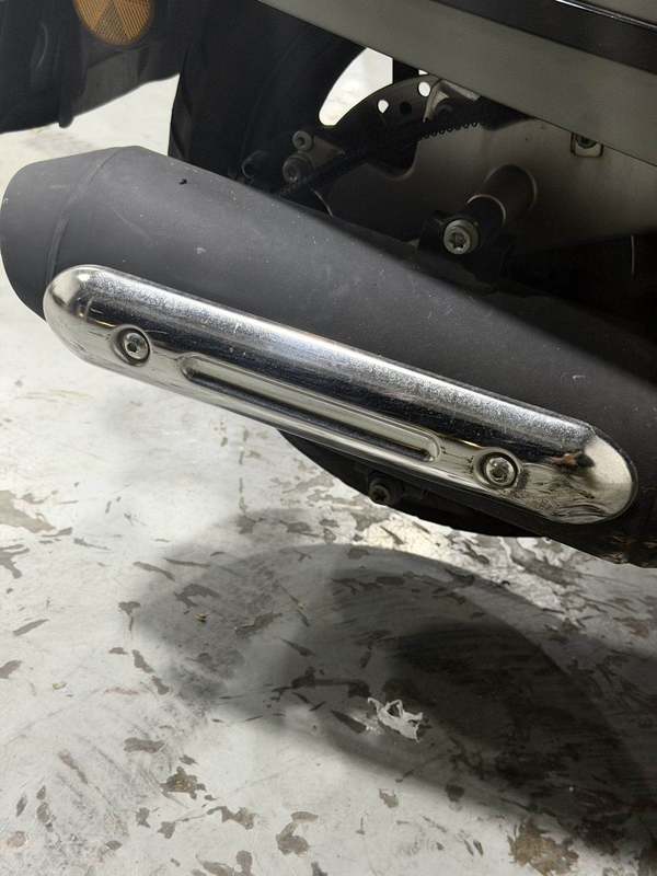 二手南方梦拉丽莎 Melalisa150