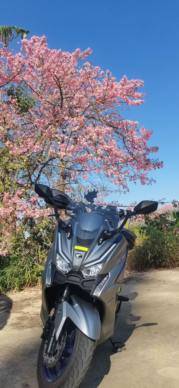 二手光阳赛艇 S250