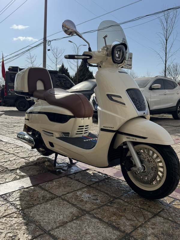 二手南方梦拉丽莎 飞戈