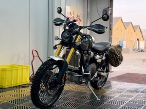 二手凯旋Scrambler 1200