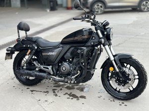 二手赛科龙RA401