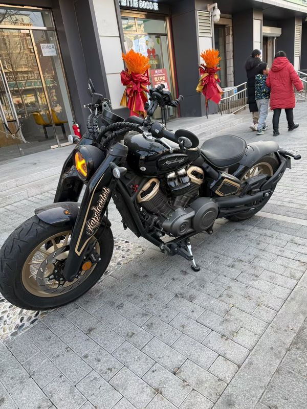 二手奔达拿破仑450