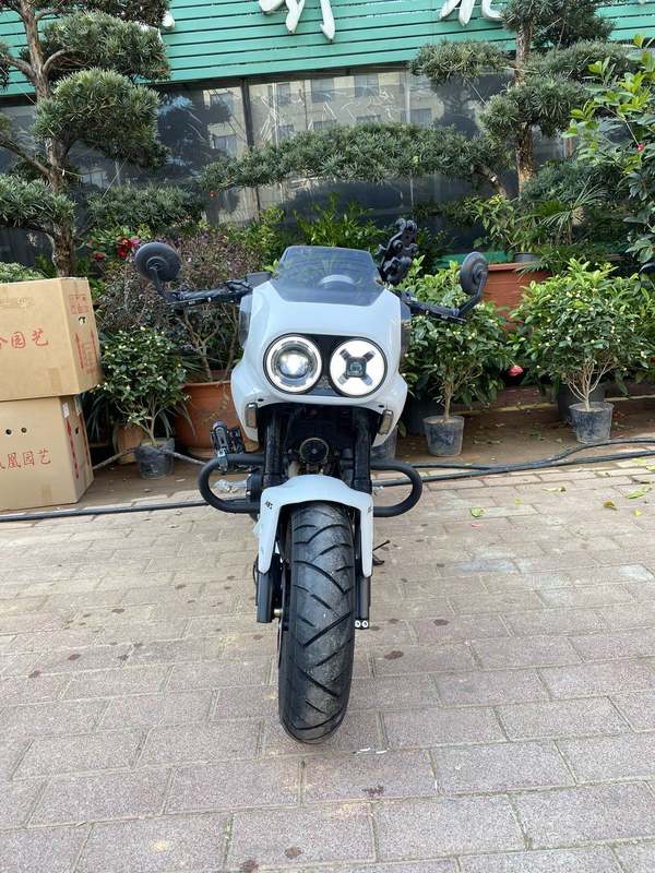 二手春风XO狒狒