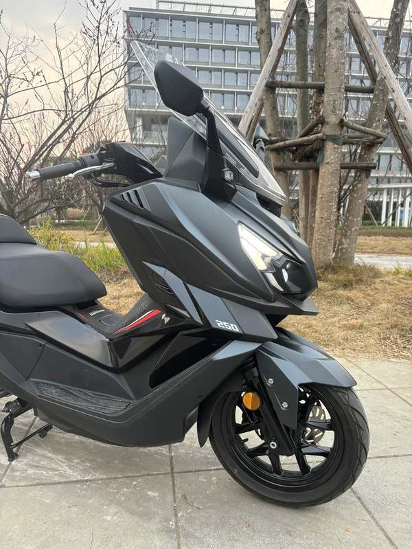 二手三阳巡弋 Cruisym250
