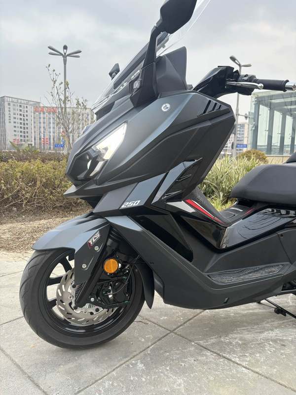 二手三阳巡弋 Cruisym250