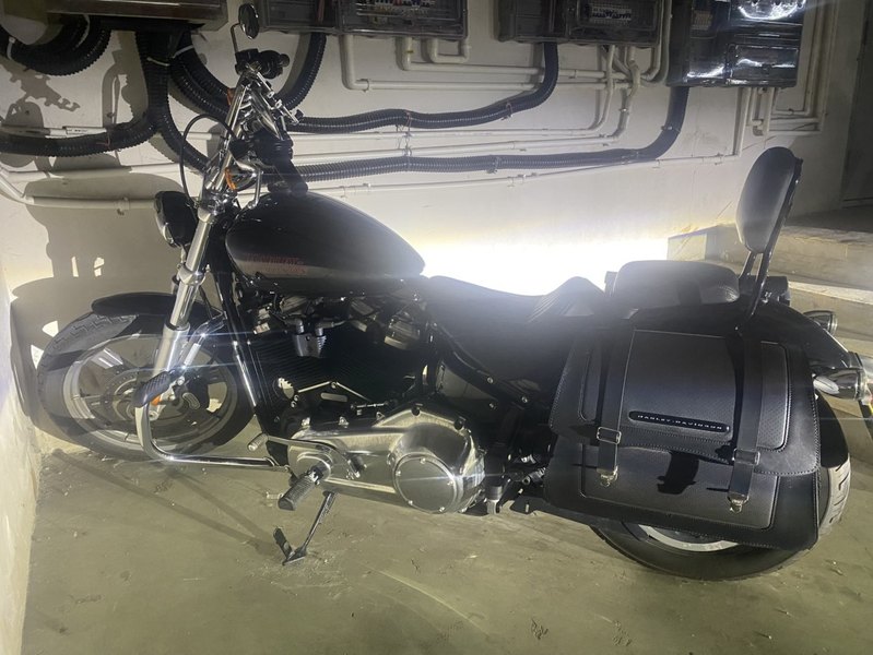 二手哈雷戴维森Softail Standard