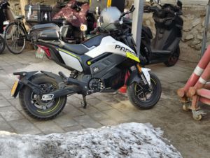 二手春风Papio Nova