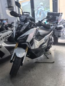 二手三阳剑齿虎 ADXTG