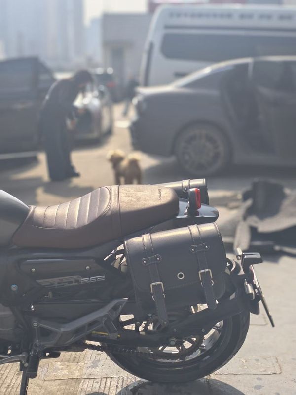 二手赛科龙RE250