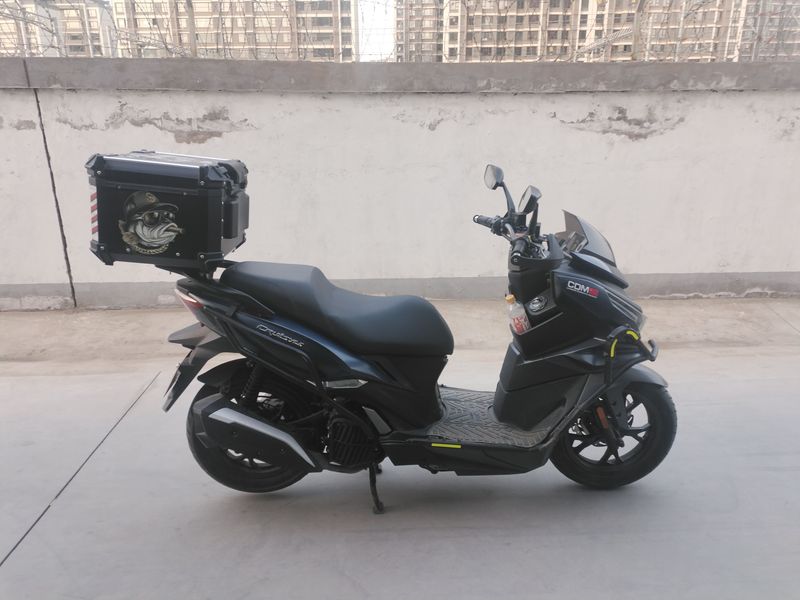 二手三阳巡弋 Cruisym150