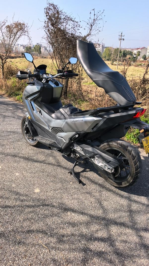 二手三阳剑齿虎 ADXTG