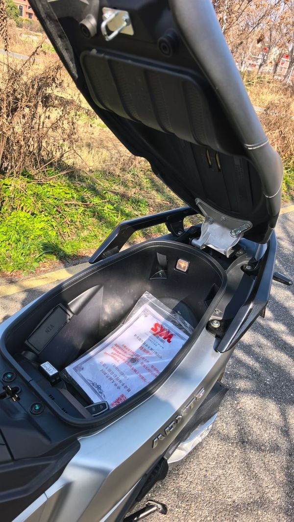 二手三阳剑齿虎 ADXTG