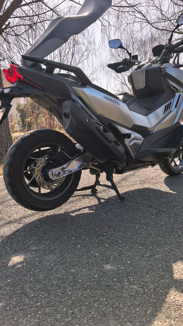 二手三阳剑齿虎 ADXTG