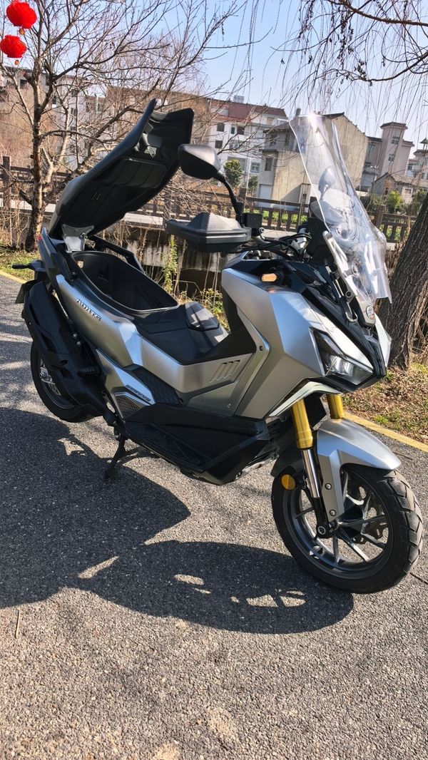 二手三阳剑齿虎 ADXTG