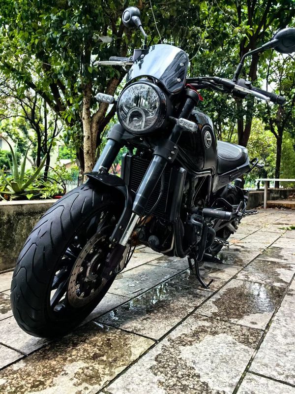 二手贝纳利幼狮 Leoncino 500