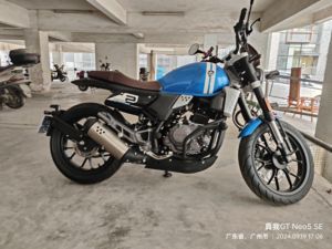 二手赛科龙RE250