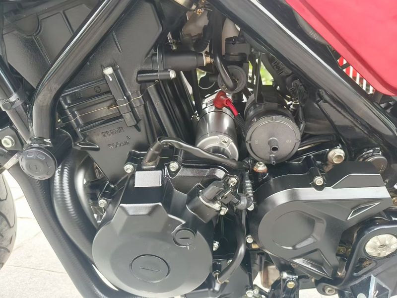 二手贝纳利幼狮 Leoncino 500