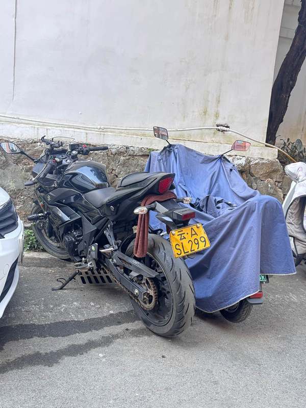 二手豪爵铃木GSX250R