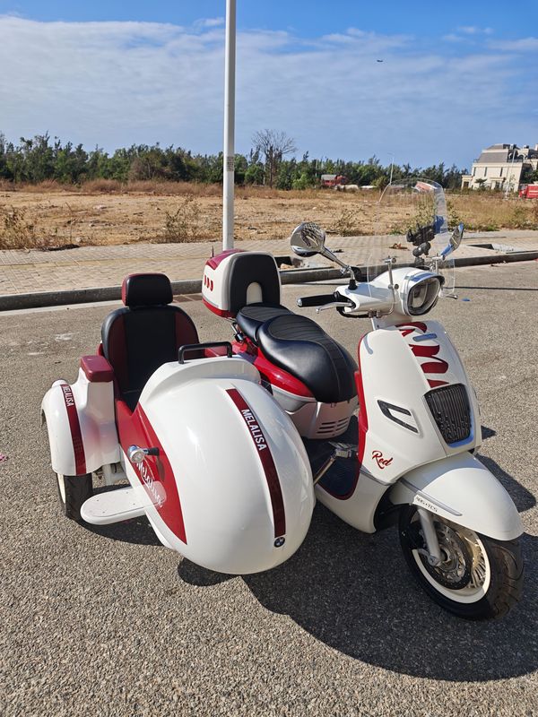 二手南方梦拉丽莎 飞戈边三轮