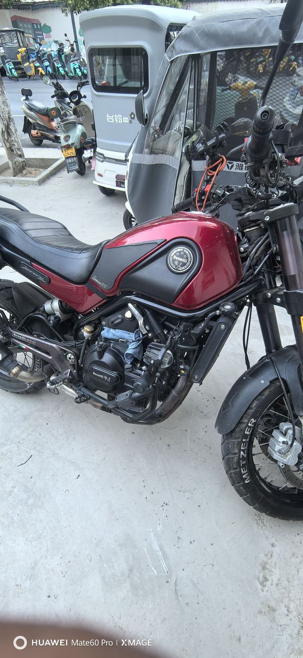 二手贝纳利幼狮 Leoncino 500