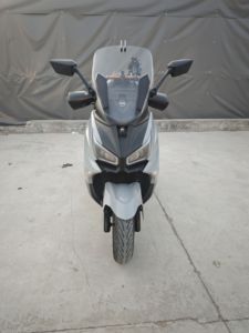 二手三阳Joymax Z 300