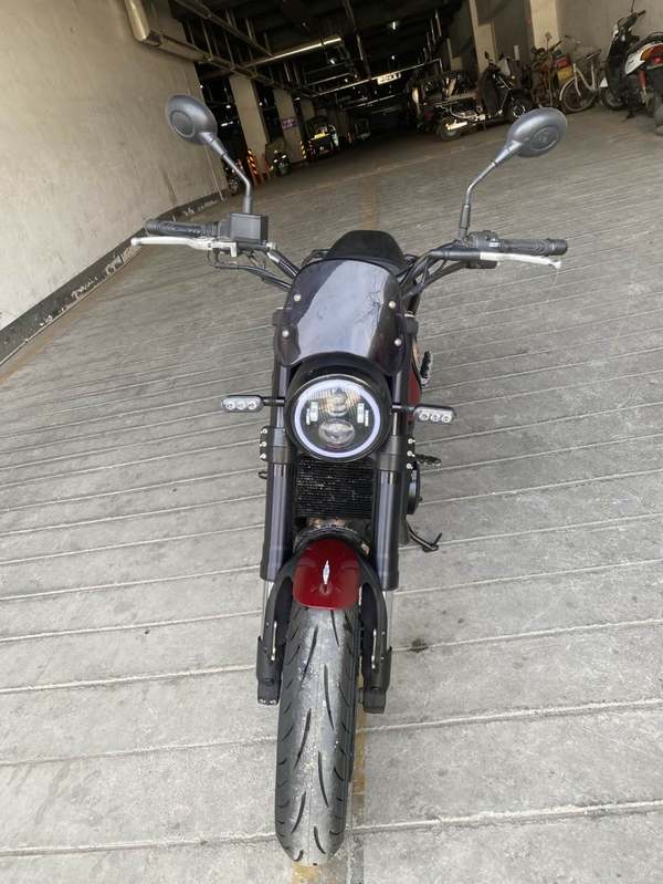 二手贝纳利幼狮 Leoncino 500