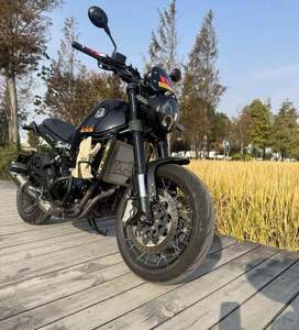 二手贝纳利幼狮 Leoncino 500