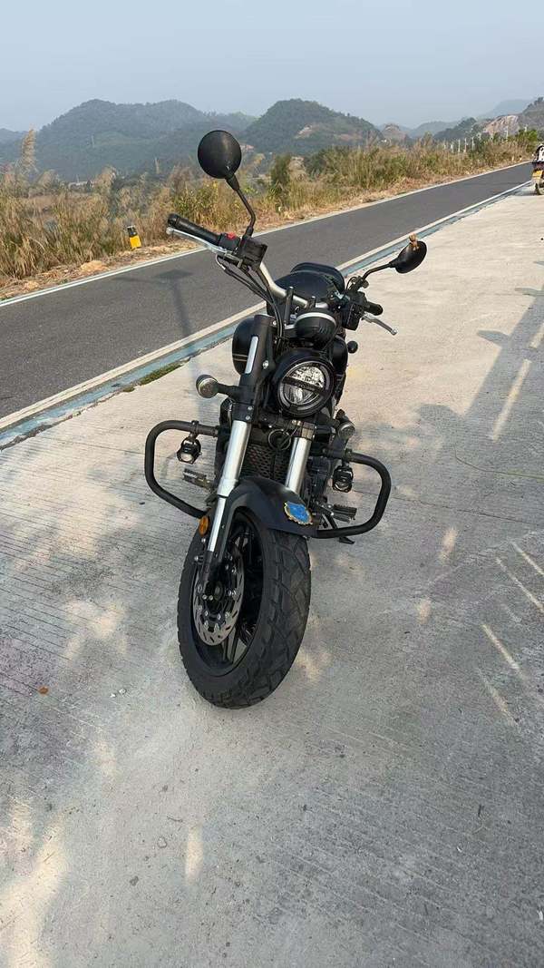 二手赛科龙RA401