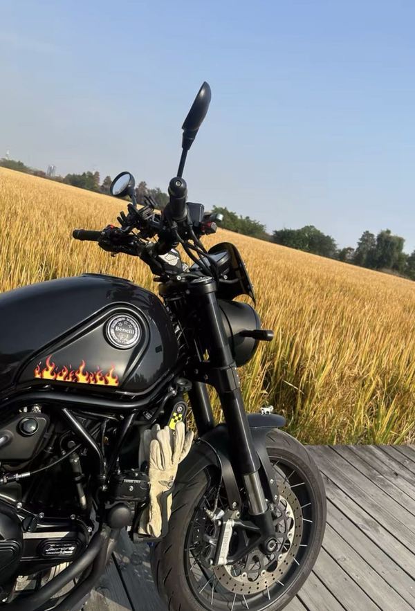 二手贝纳利幼狮 Leoncino 500