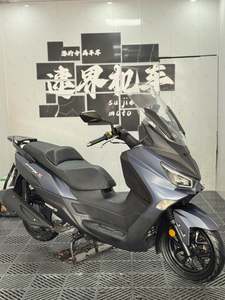 二手三阳Joymax Z 300