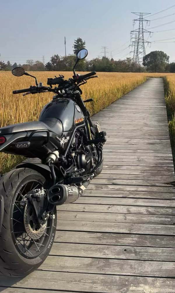 二手贝纳利幼狮 Leoncino 500