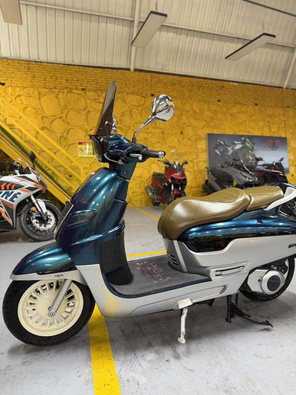 二手南方梦拉丽莎 飞戈