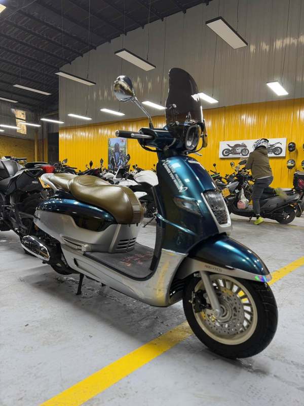 二手南方梦拉丽莎 飞戈