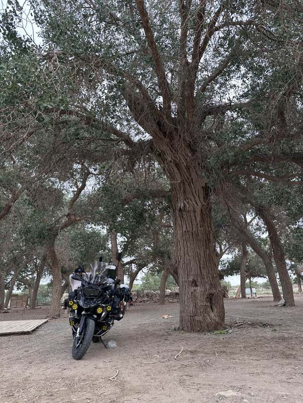 二手宝马R 1250 GS