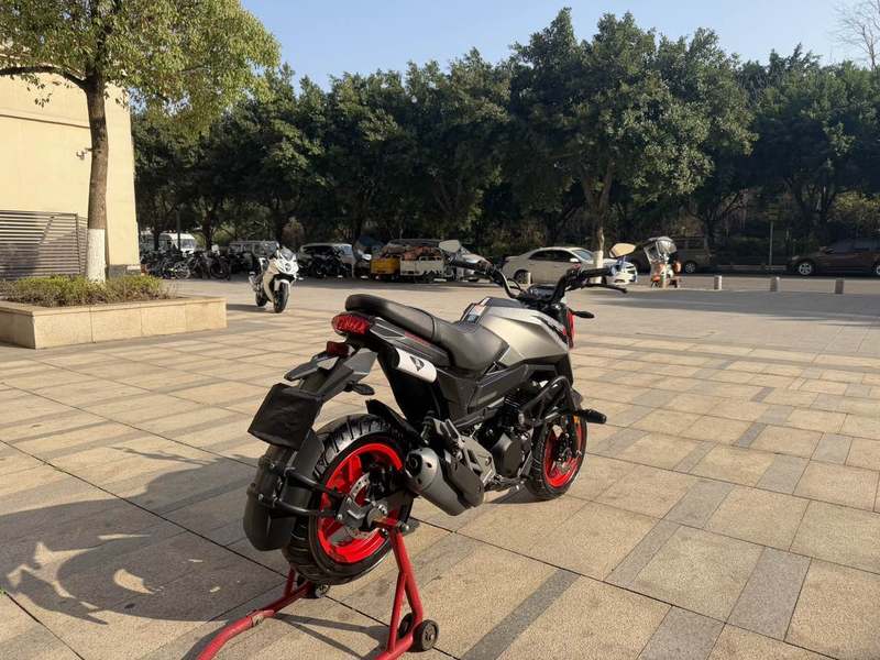 二手春风ST狒狒