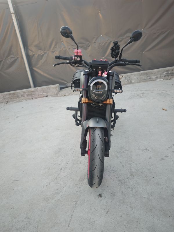 二手贝纳利幼狮 Leoncino 250