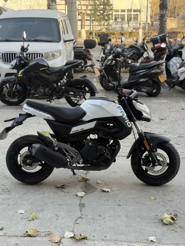 二手春风ST狒狒