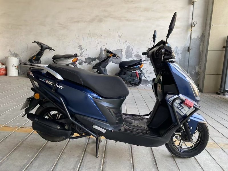 二手望龙牌WL125T