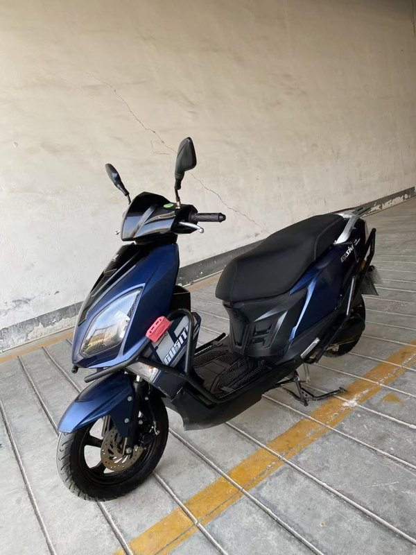 二手望龙牌WL125T