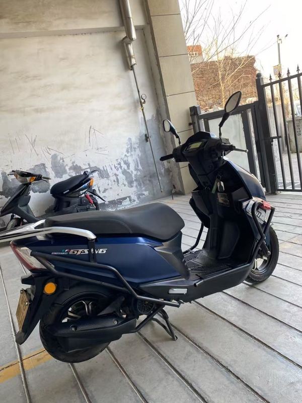 二手望龙牌WL125T