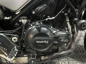 二手贝纳利幼狮 Leoncino 500