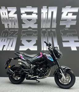 二手贝纳利小暴龙TNT125