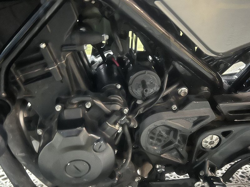 二手贝纳利幼狮 Leoncino 500